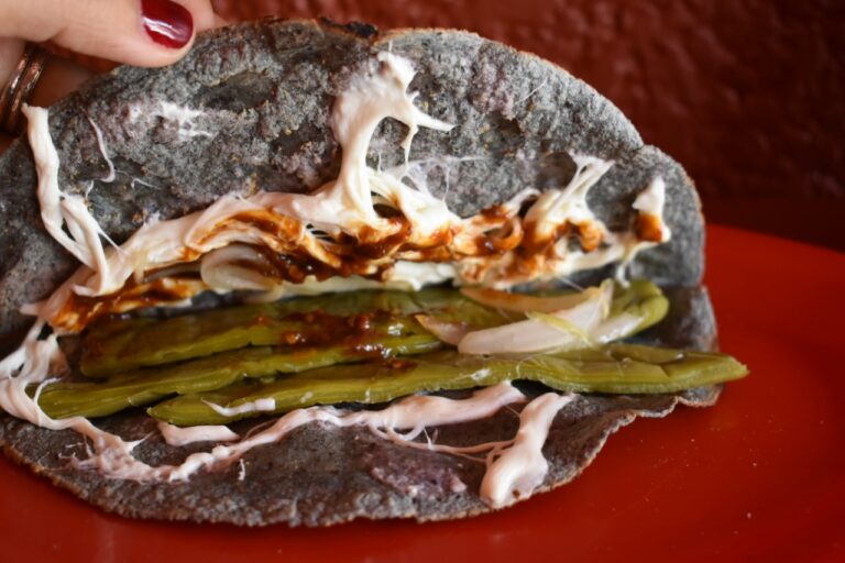 Quesadillas de Nopal Cactus Quesadillas (Thursday) Nejpali